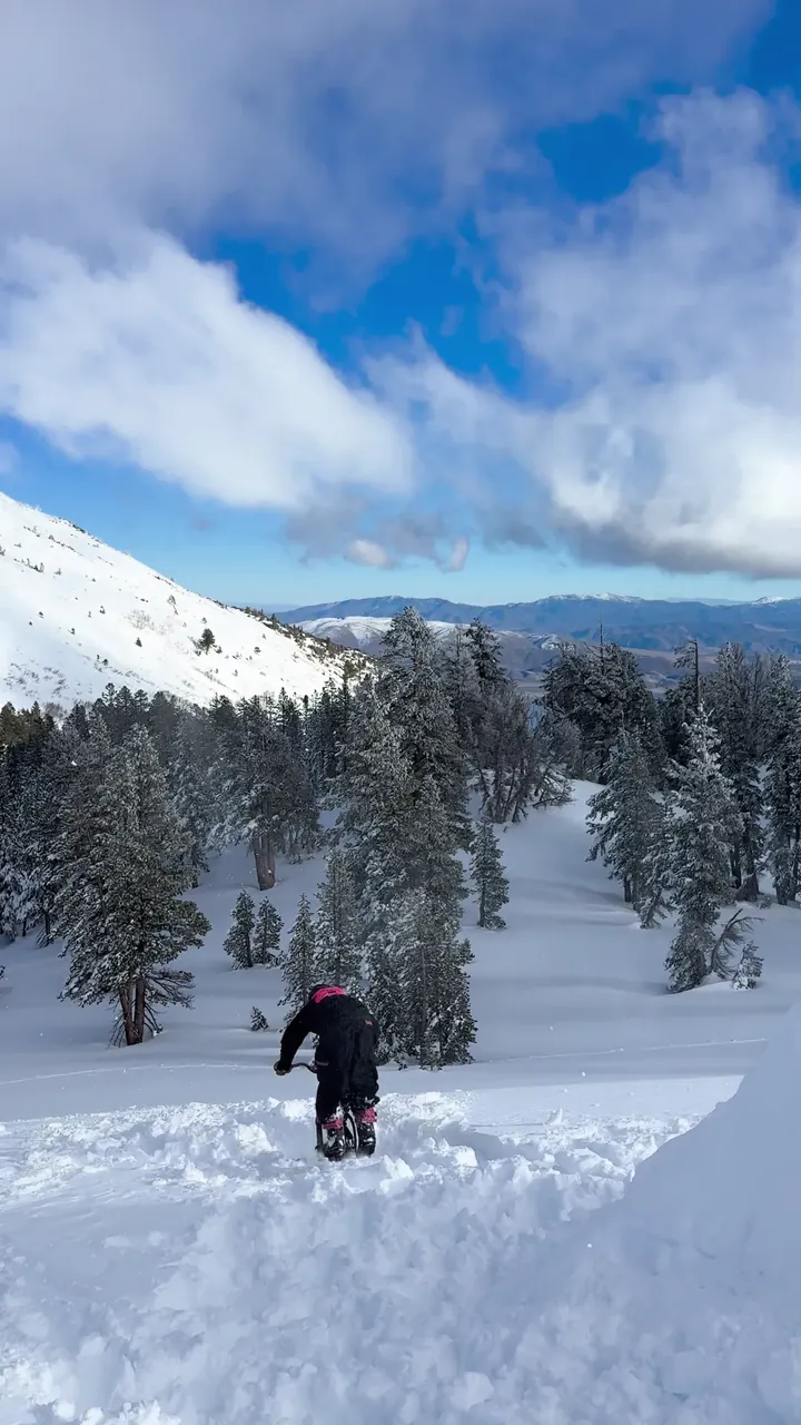 Daniel Behar backflipping a ski bike, frame 15 of 16